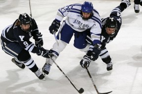 校园篮球杯决赛热度持续升高引发社交平台热议，校园篮球赛赛程